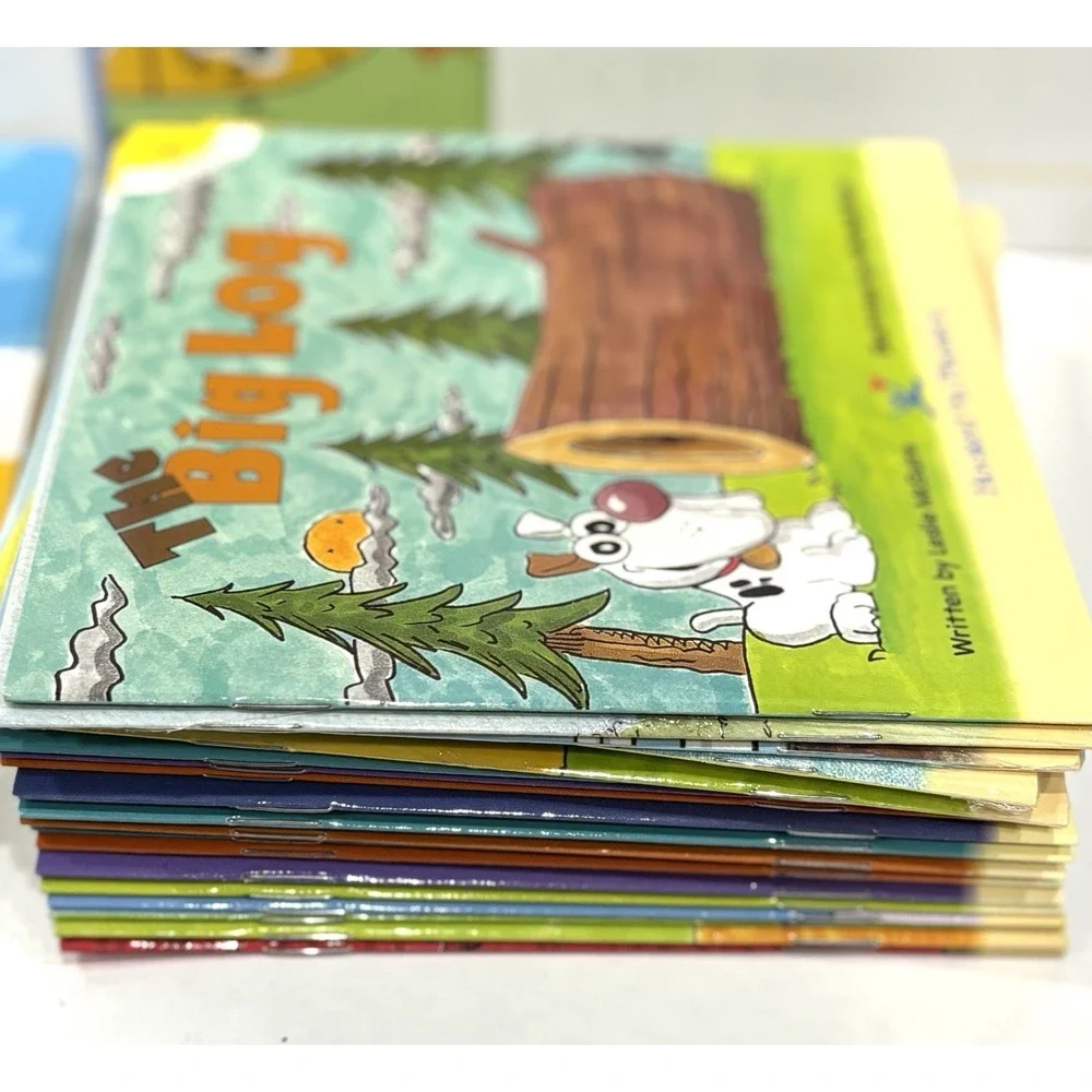 Hooked on Phonics Learn to Read Kindergarten Complete Set w/ CDs Books Cards Box